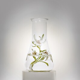 Prodigy Cellglow The Deep Renewing Concentrate - Siero Anti-Età Illuminante